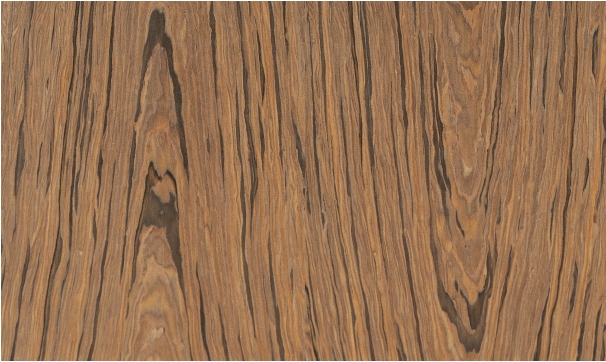 Chapa prefabricada Palisandro - chapa reconstituida para proyectos profesionales