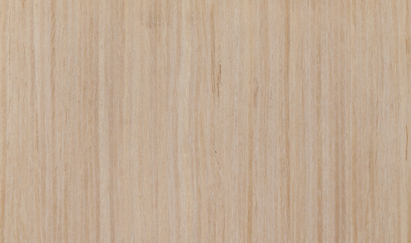 Chapa prefabricada Roble Mallado Decape - chapa reconstituida para proyectos profesionales